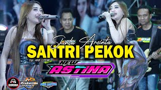 SANTRI PEKOK  SHINTA ARSINTA GOYANG ESEK ESEK  NEW ASTINA DHEHAN AUDIO [upl. by Gerard548]