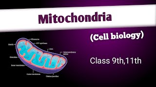 Mitochondriastructure composition and functionscell  cell biology [upl. by Narak]