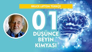 Düşünce Beyin Kimyası  Bruce Lipton Türkçe 01 [upl. by Znieh]