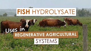 Fish Hydrolysate Uses in Agriculture [upl. by Adnocahs194]