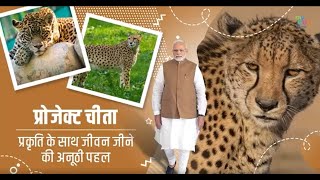 India Welcomes Cheetah  Project Cheetah [upl. by Yuille]