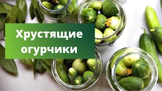 🥒 ОГУРЧИКИ не лопнут Мои любимые МАРИНОВАННЫЕ ОГУРЦЫ [upl. by English]