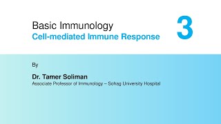 Basic Immunology  Cellmediated Immune Response Part 3 [upl. by Cchaddie774]