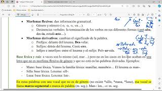 Estructura de la palabra morfemas lexemas tipos de palabra según su estructura [upl. by Nelad]