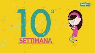 10° settimana di gravidanza [upl. by Orabelle]