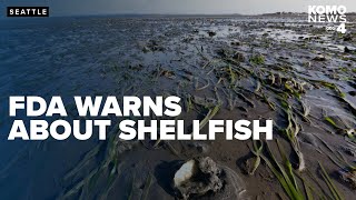 What to know about FDA warning on paralytic shellfish poisoning in the Pacific Northwest [upl. by Aggri]