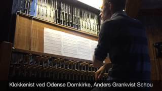 Intim koncert Klokkenist i toppen af Odense Domkirke [upl. by Gnep]