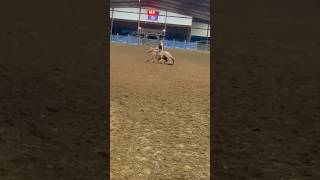 Posting Roany vids because he was so much fun to run 💗rodeo polebending fypage [upl. by Adleme]