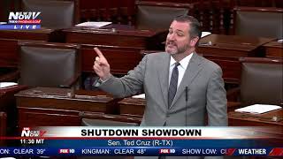 MUST WATCH Ted Cruz GOES Off On Democrats For Not Paying Coast Guard During Shutdown [upl. by Merralee]