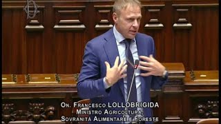 Lollobrigida quotNotificheremo la norma in Ue spero seguano nostro esempioquot [upl. by Yeliab]