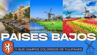 PAISES BAJOS Y LA BELLEZA DE SUS CAMPOS DE TULIPANES [upl. by Pulling]