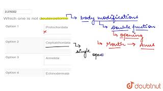 Which one is not deuterostome [upl. by Lein626]