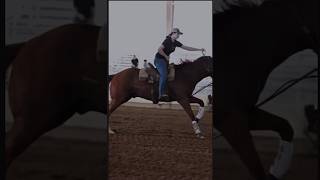 barrelracer barrelracing fypシ゚viral rodeo horse [upl. by Asilehs]