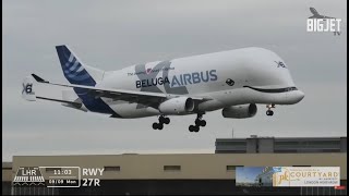 Airbus Beluga XL lands at Heathrow Airport for the very first time [upl. by Cuhp]