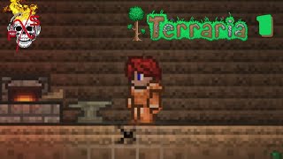 Day 1 Copper armor  Terraria Ep1 [upl. by Teodor107]