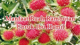 Manfaat Buah Rambutan Untuk Ibu Hamil [upl. by Pretrice]