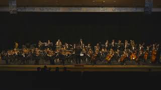 Dilshad Said Kurdish Inspiration Slemni Symphony Orchestra  2019 [upl. by Ekaj528]