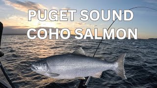 Puget Sound Coho Salmon Fishing [upl. by Nayar]