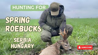 Hunting for Spring Roebucks in Serbia and Hungary [upl. by Eidur]