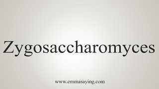 How To Say Zygosaccharomyces [upl. by Assiram253]