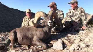 Arizona Desert Raffle Sheep HuntClaude Warren with Colburn and Scott Outfitters [upl. by Eiduj]