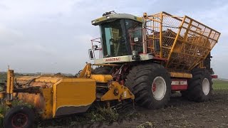 Bieten rooien met Agrifac ZA 215 EH amp New Holland 8360 2016 [upl. by Watt251]