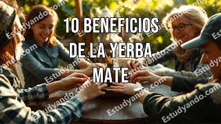 10 Beneficios de la Yerba Mate [upl. by Nohsyt]