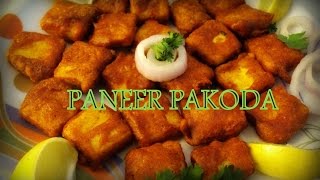 Paneer Pakora Recipe Video  Paneer Pakoda Hindi Recipe [upl. by Amoeji865]