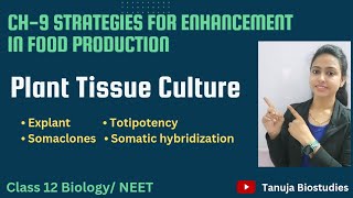 Ch9 Strategies for Enhancement in food production  Plant Tissue Culture  Class 12 BiologyNEET [upl. by Philipson236]