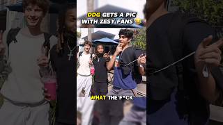 DDG vs Zesty Fans 🤣 ddg vlog [upl. by Analed]