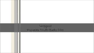 Santigold  Disparate Youth Radio Edit [upl. by Hoffarth]