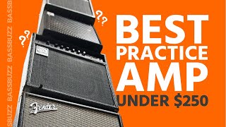 Best Beginner Bass Amp Group Review [upl. by Joelle]