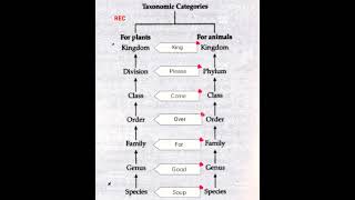 Neet biology 720 taxonomic category [upl. by Ahsekal]