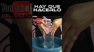 GRAN SHORT TUTORIAL DE VASO CASERO PARA EL VERANO [upl. by Mcripley]