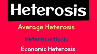 Heterosis  Average Heterosis  Heterobeltiosis  Economic Heterosis  Plant Breeding [upl. by Ennairrek]