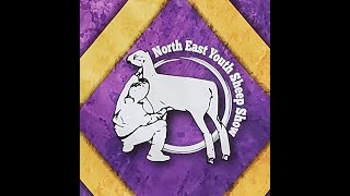 Northeast Youth Sheep Show  RING 3 Saturday July 20 2024  est 300 PM [upl. by Rodina382]