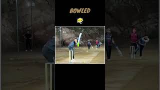 GUESS BOWLER🥵 Shot 🔥flick flickshot shot batting tapeballcricket cricket tapball [upl. by Laban330]