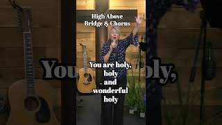 HighAbove LIVE by Leann Albrecht shorts lyricvideo worship wonderful [upl. by Pickard]