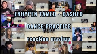 ENHYPEN TAMED  DASHED DANCE PRACTICE  reaction mashup [upl. by Maffei]