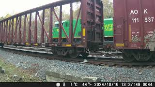 241020 South Facing Backyard Railcam [upl. by Dempsey]