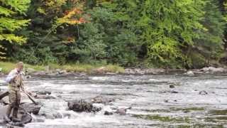 Landing a salmon on the Magalloway River in Sept wwwmainelyflyfishingcom [upl. by Edorej]