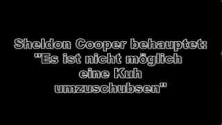 Sheldon Coopers Theorie Kuhschubsen [upl. by Geoff]