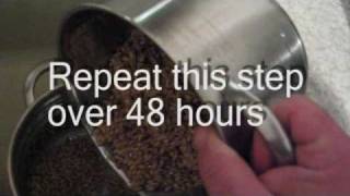 How to make malted barley [upl. by Tayler]