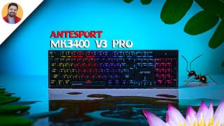 Ant Esports MK3400 V3 Pro Review  Best Budget Mechanical Gaming Keyboard under 1500 in 2024 [upl. by Ledniahs]