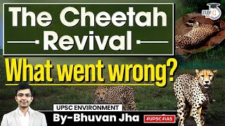 Indias Cheetah Reviving Plan Cheetah from Namibia Dies in Kuno National Park  UPSC Mains [upl. by Stelle]