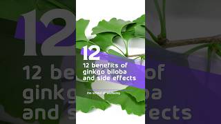 12 Benefits of Ginkgo Biloba and Side Effects 🌿 ginkgo ginkgobiloba wellbeing sideeffects [upl. by Eikcor]