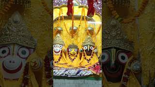 Jai jagannath rathyatra 🛕🛕🛕shotsjagannathjagannathtempljagannathpurijayesh03 [upl. by Odnomyar505]