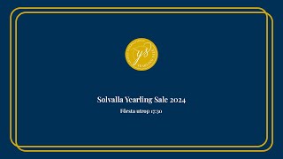 Solvalla Yearling Sale 2024 [upl. by Mohsen400]