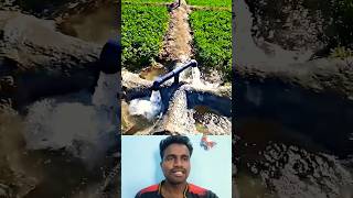 🤔வயலில் தண்ணி விட சூப்பர் ஐடியா⁉️  Super Idea For Irrigation 💯 trending irrigation ideas shorts [upl. by Ansell]