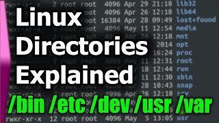 Linux File SystemStructure Explained [upl. by Erdnad]